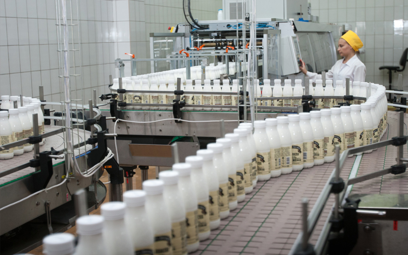 Молочное производство