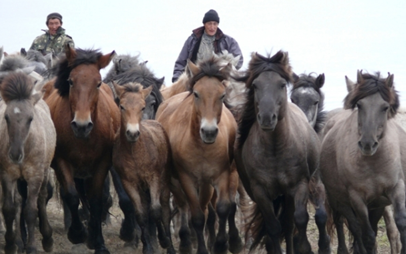 Сельское хозяйство Якутии