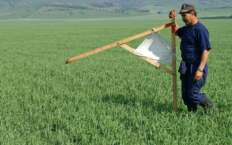 Дальневосточный гектар